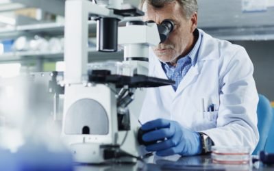 aD02MzAmemM9MSZoYXNoPTUyOTcxM2E4YjRiZmFiZTBiNDE1YThkM2I2ZTU0MDM4.thumb_.jpg - StiriAlese