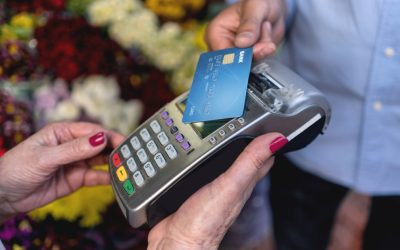 aGFzaD04OGVjNzc5YzJkMWFjY2E2NjU5NWZkOGM0NDhiMGEyZQ.thumb_.jpg - StiriAlese