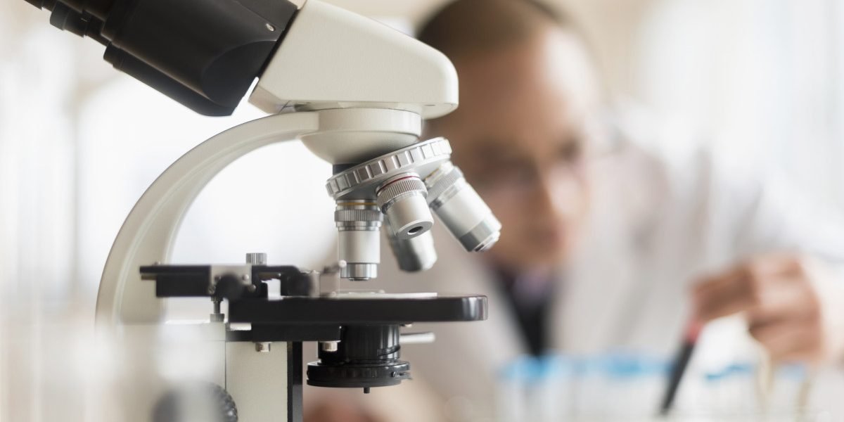 aGFzaD1kYmQ3MDJjNDExODE4NjY5NzlhMjQ2MmNiYjFkNjY1MA.thumb_.jpg - StiriAlese