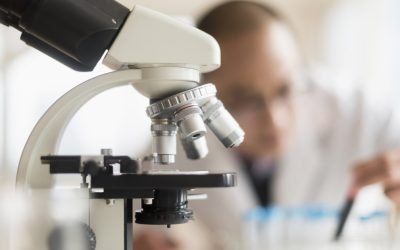 aGFzaD1kYmQ3MDJjNDExODE4NjY5NzlhMjQ2MmNiYjFkNjY1MA.thumb_.jpg - StiriAlese