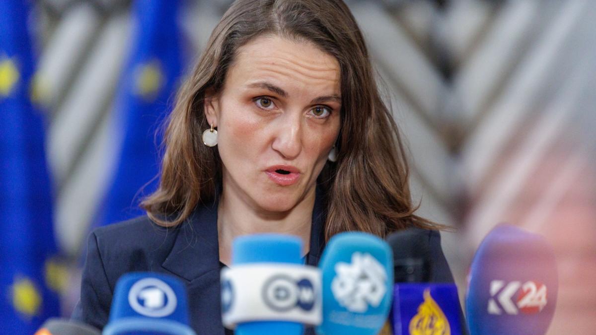 Daciana și Victor Ponta au anunțat joi că fiica lor, Irina, a fost eliminată de pe lista pasagerilor unui avion de repatriere organizat de Ministerul Afacerilor Externe (MAE), destinat să aducă în România cei 28 de adolescenți bătuți în tabără într-un context de conflict armat în Emiratele Arabe