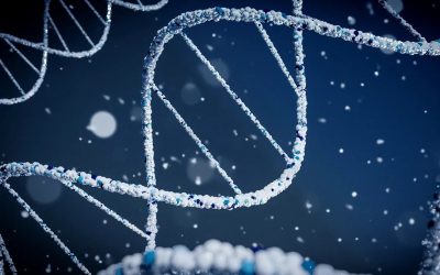 adn-marea-britanie-sud-est-europa.jpg - StiriAlese