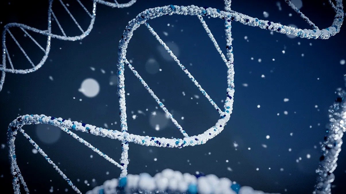 Descoperiri genetice surprinzătoare schimbă perspectiva asupra preistoriei Europei Noile cercetări genetice aruncă o lumină complet diferită asupra istoriei populatiilor europene din epoca preistorică, demonstrând că această poveste nu a fost niciodată atât de clară pe cât se credea anterior