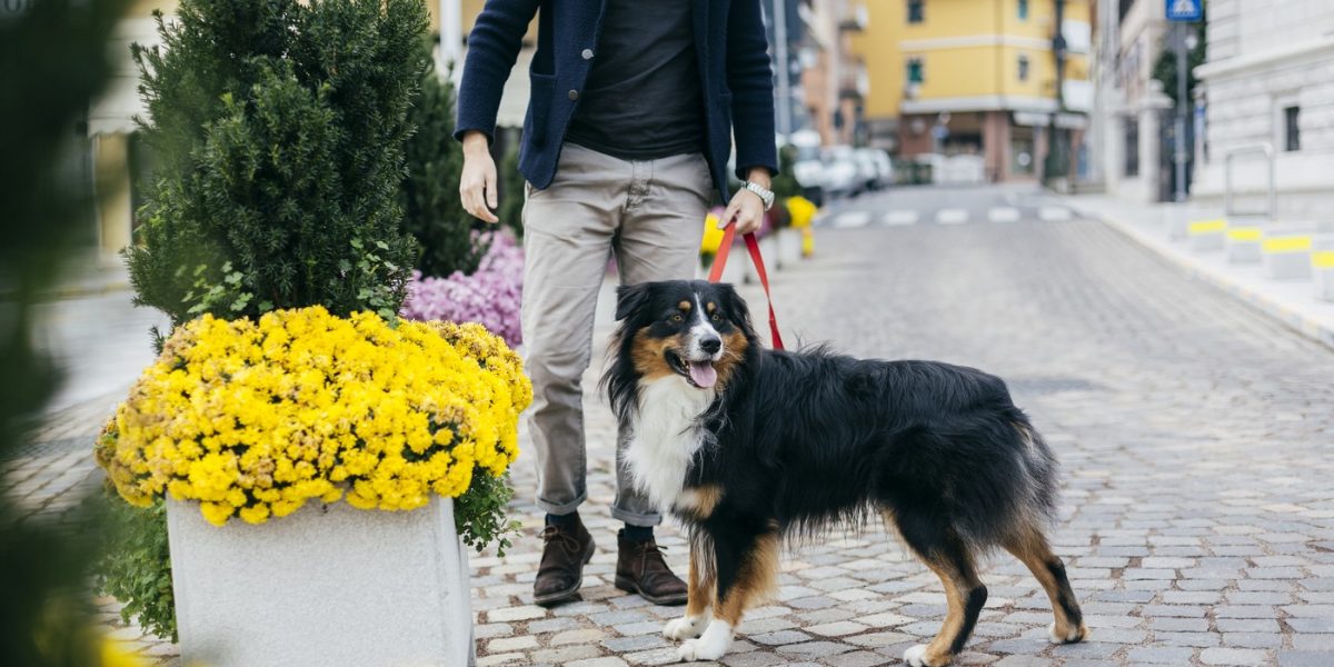 amenda-caine.jpg - StiriAlese