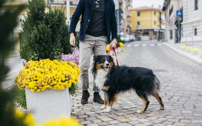 amenda-caine.jpg - StiriAlese