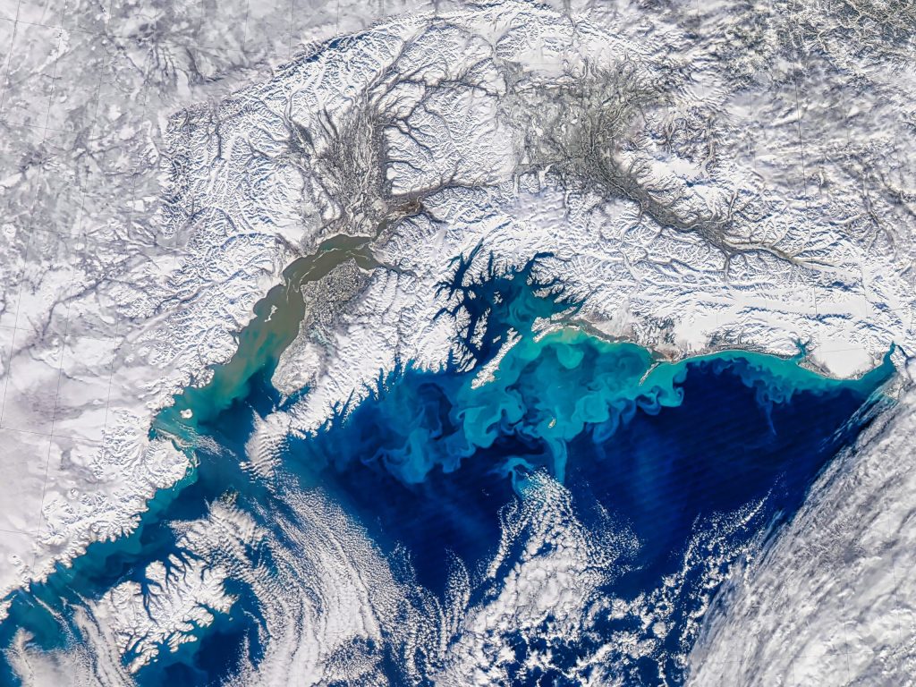 Un ghețar din Peninsula Estică a Antarcticii a trecut prin cea mai rapidă și spectaculoasă retragere observată vreodată în epoca modernă, pierzând aproape jumătate din suprafața sa în doar două luni