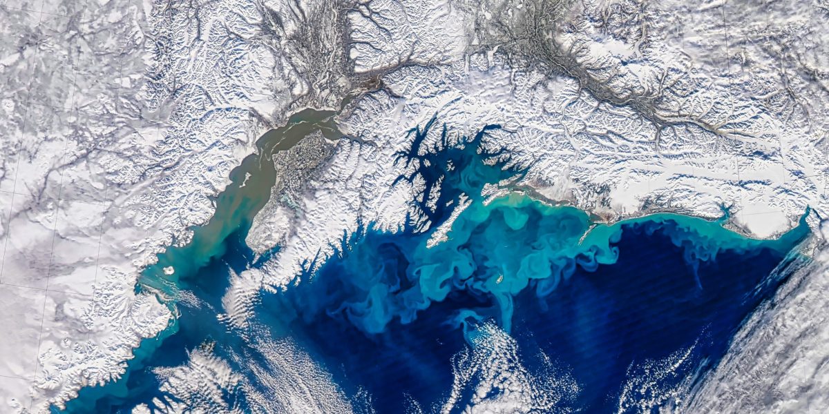 antarctica-ghetari-shutter_Descopera-3-scaled.jpg - StiriAlese