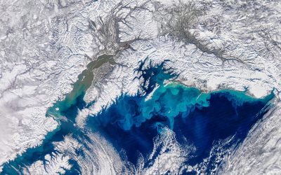 antarctica-ghetari-shutter_Descopera-3-scaled.jpg - StiriAlese