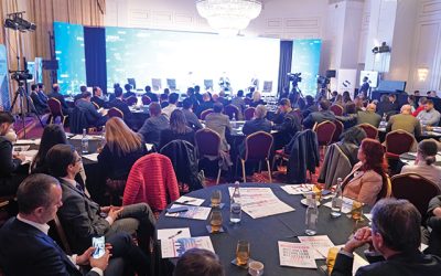 cadru-larg-1.jpg - StiriAlese