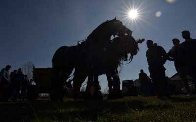 Primarii din Iași resping planul de transformare a comunelor în sectoare rurale