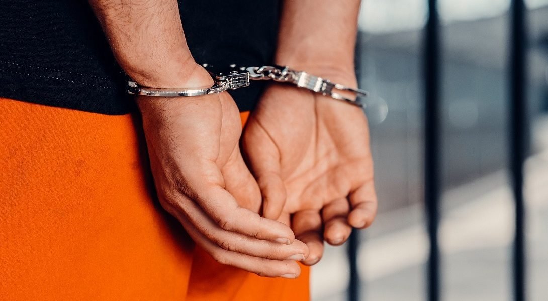 catuse.jpg - StiriAlese