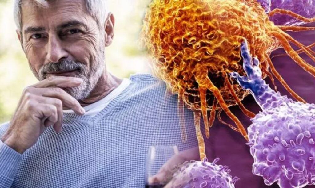 Ghimbirul, o plantă cu rădăcină pivotantă și aromată, a fost folosit de secole de către tradițiile medicinei populare din întreaga lume pentru beneficiile sale asupra sănătății