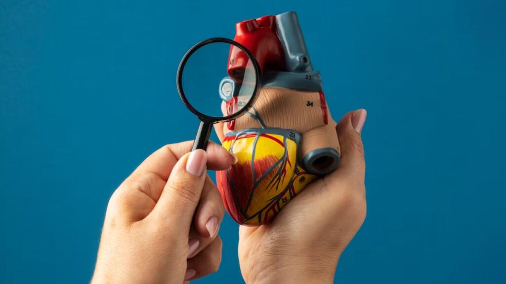 colesterol-ridicat-1024x576.jpg - StiriAlese