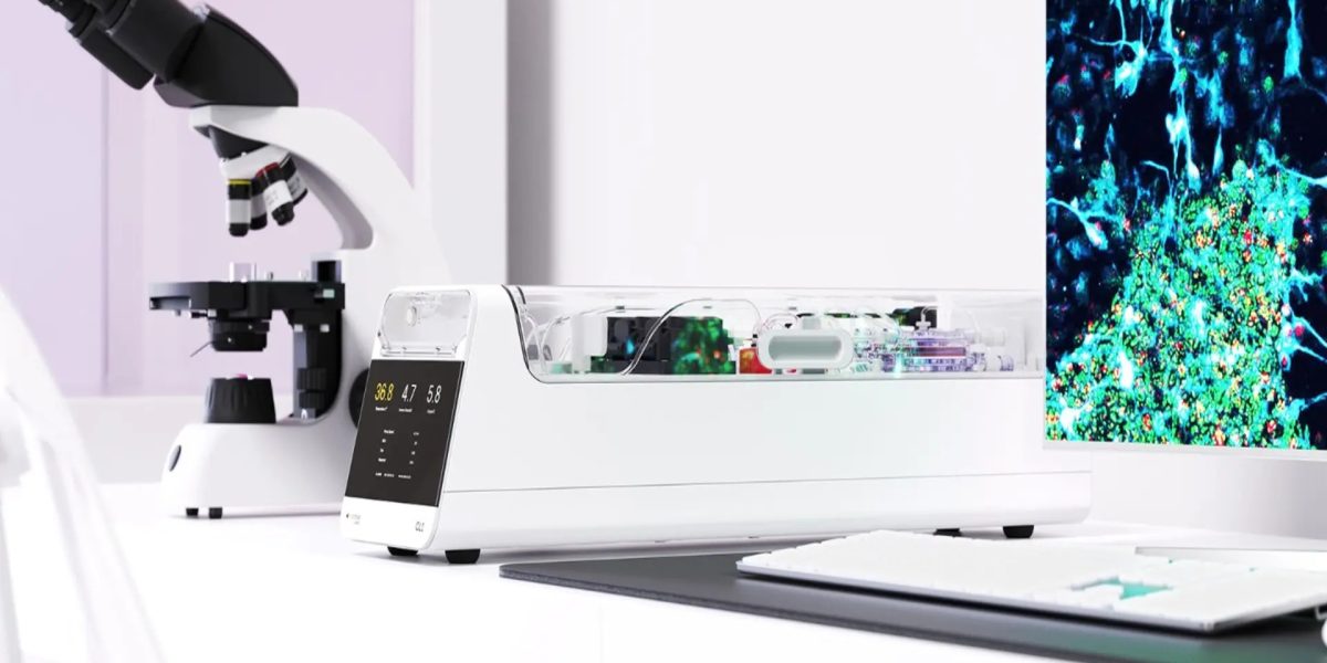 computerul-neuron-cl1.jpg - StiriAlese