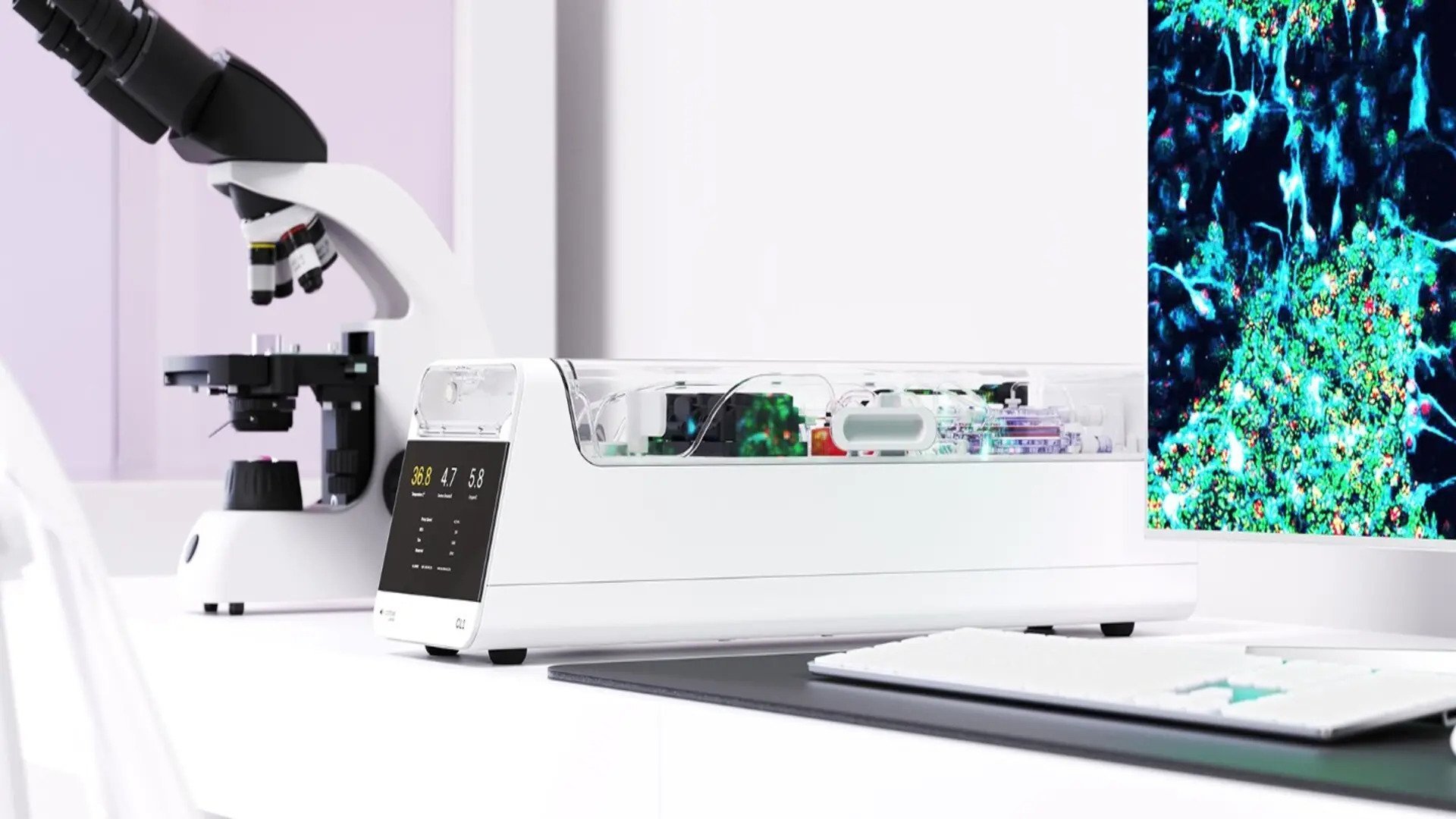 Cercetările din domeniul tehnologiei biologice au cunoscut un avânt extraordinar odată cu un experiment inovator care demonstrează potențialul sintezei între neuronii umani vii și hardware-ul digital