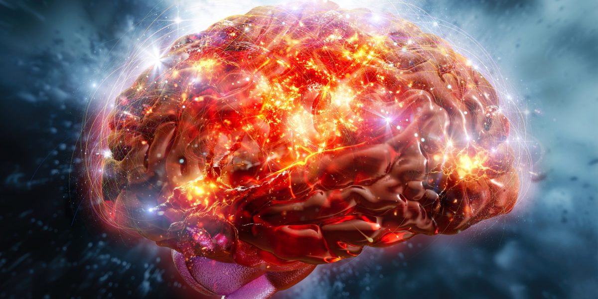 creierul-echipa-shutter_Descopera-scaled.jpg - StiriAlese