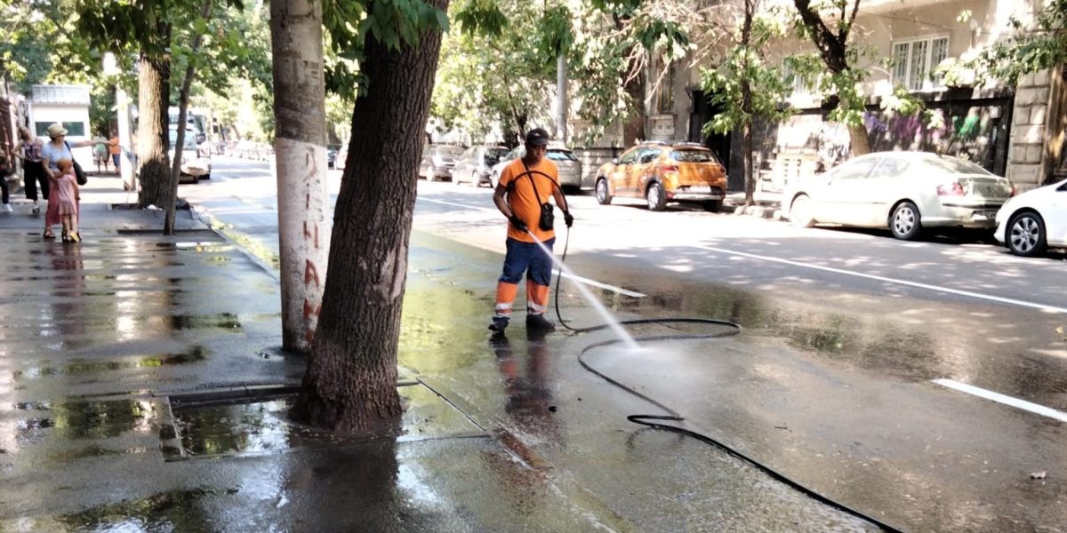 Sector 2 începe curățenia de primăvară și dezinsecțiile pentru combaterea insectelor