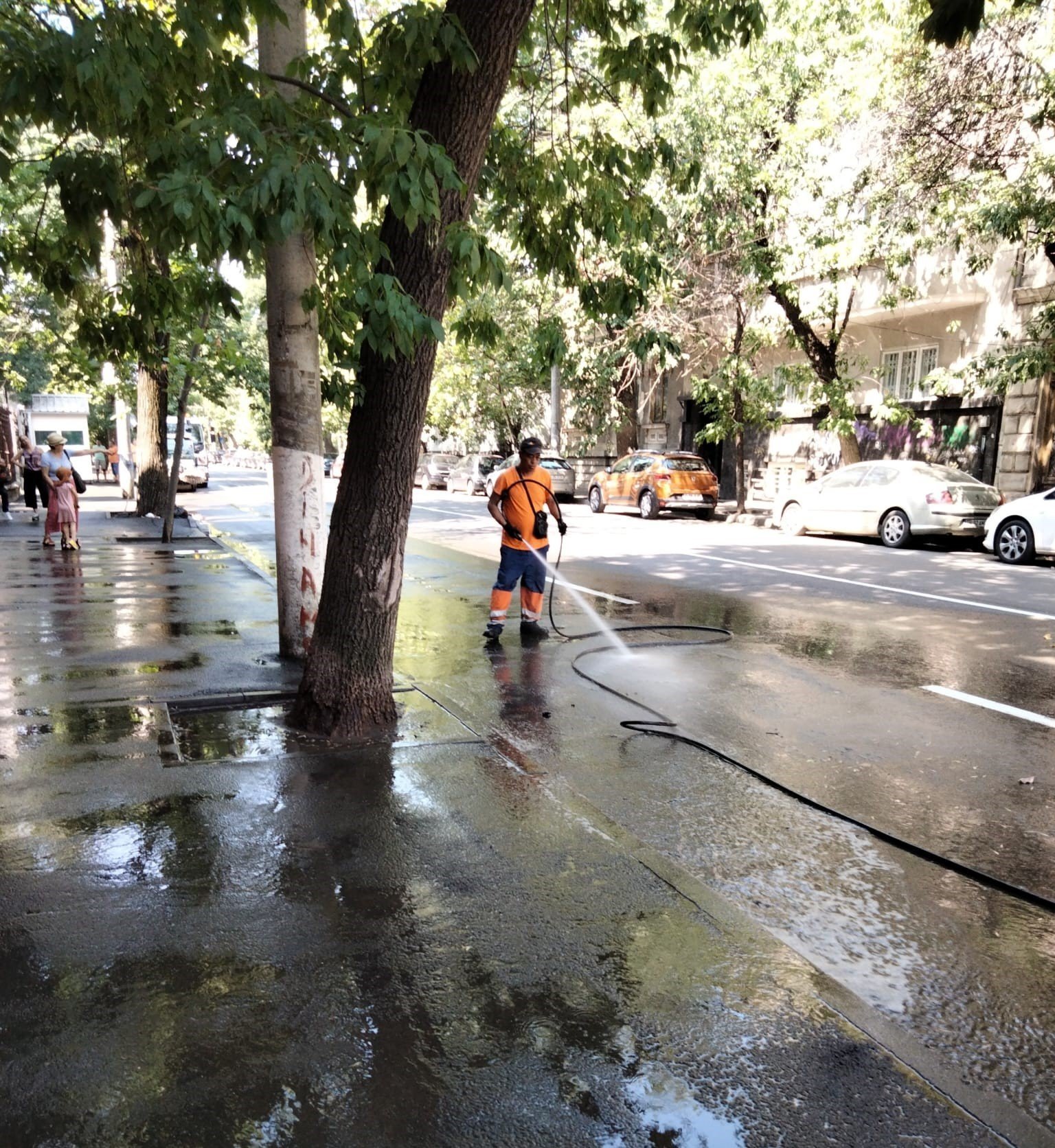 Primăvara a adus în Sectorul 2 un val de activități menite să redea cartierelor un aer proaspăt și plin de viață