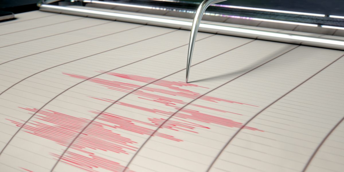 cutremur-e1733725133591.jpg - StiriAlese