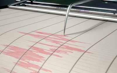 cutremur-e1733725133591.jpg - StiriAlese