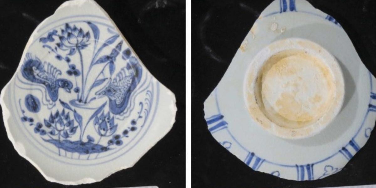 descoperire-portelan-rar.jpg - StiriAlese