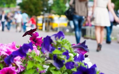 Sondaj G4Media: Femeile din România pot echilibra cariera și familia?