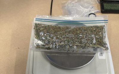 Adolescenți din Noua Zeelandă pun la donație geantă cu marijuana și bani, din greșeală