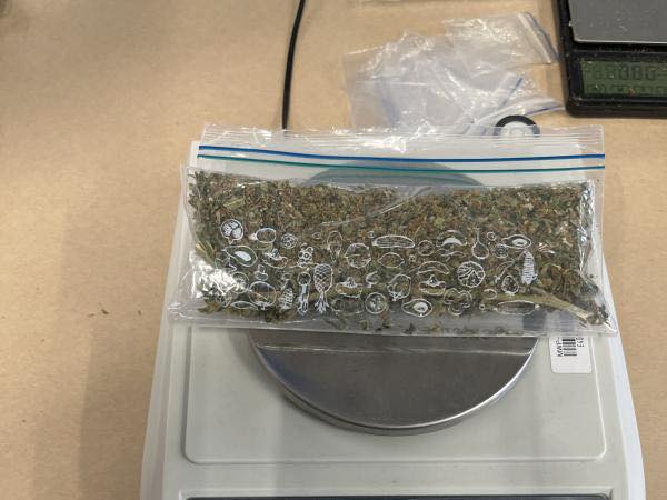 droguri-donate-din-greseala-noua-zeelanda.jpeg - StiriAlese