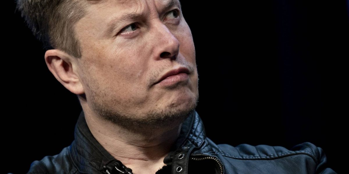 Elon Musk amenință în Germania după protestele angajaților Tesla pentru condiții decente de muncă