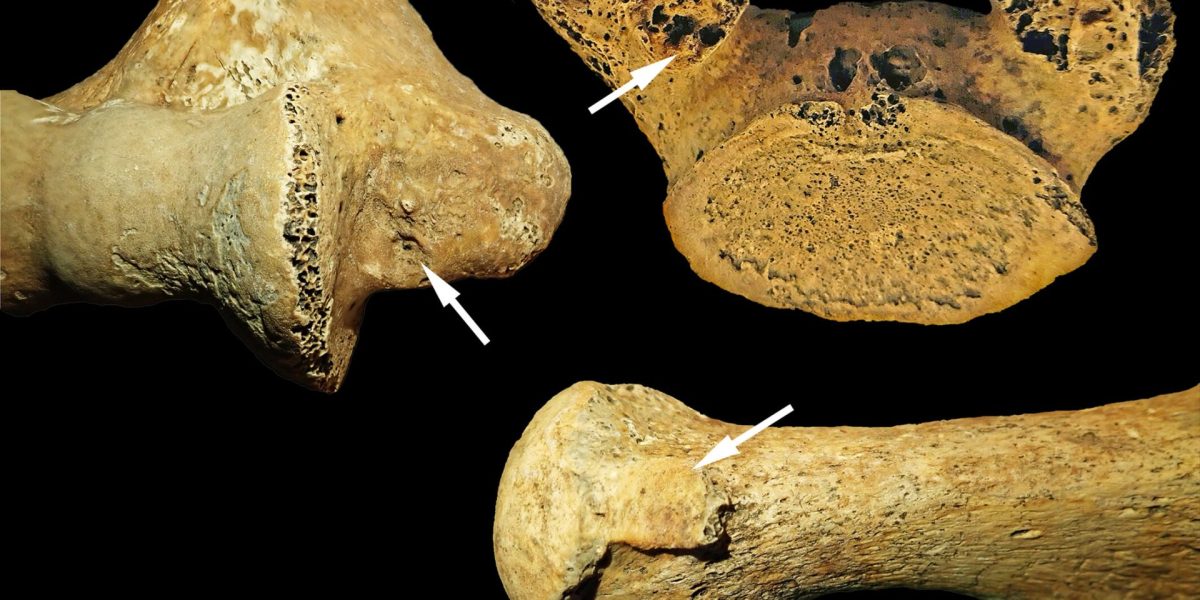 Femeie din Epoca de Piatră înmormântată ca bărbat: motivul revelat