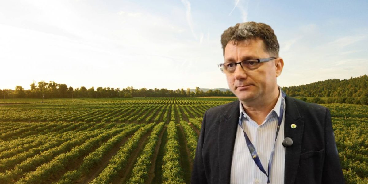 Fermier din Timiș: Costurile mari și dobânzile afectează rentabilitatea agriculturii