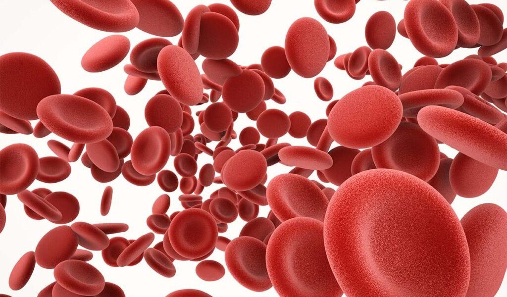 Alimente și suplimente care subțiază sângele și previn cheagurile