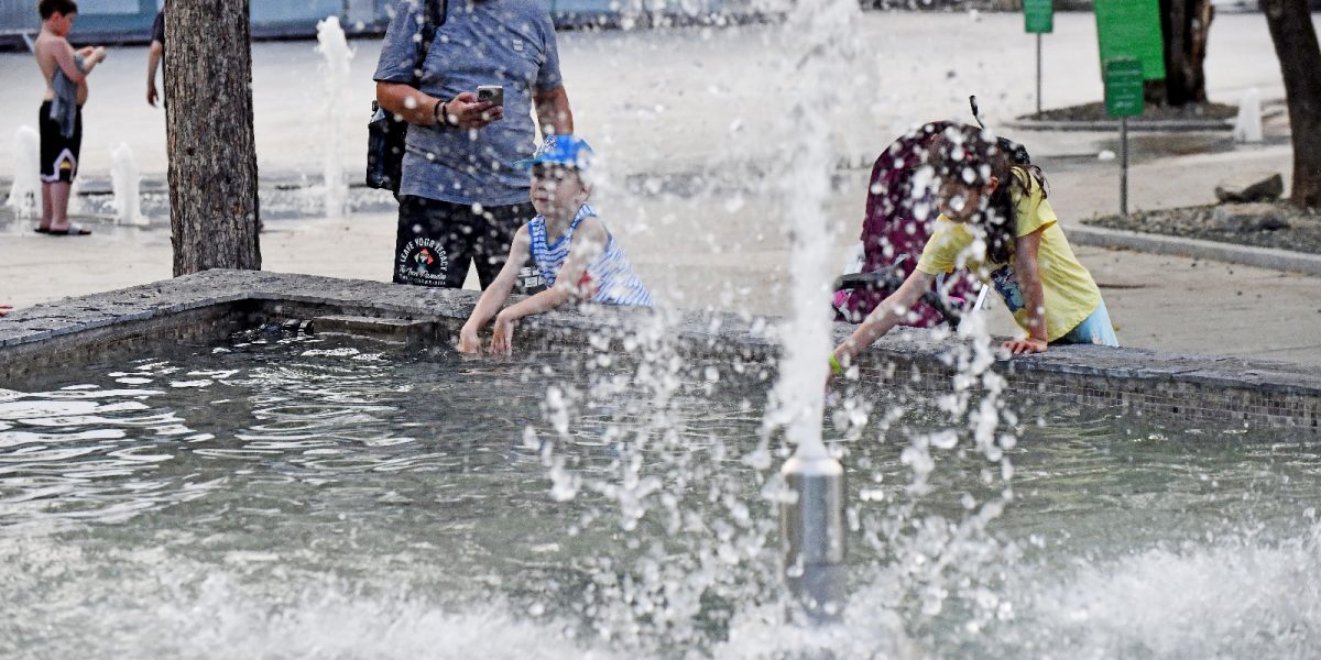 firma-cu-un-angajat-lucrari-de-mentenanta-fantani-Sectorul-6.jpg - StiriAlese