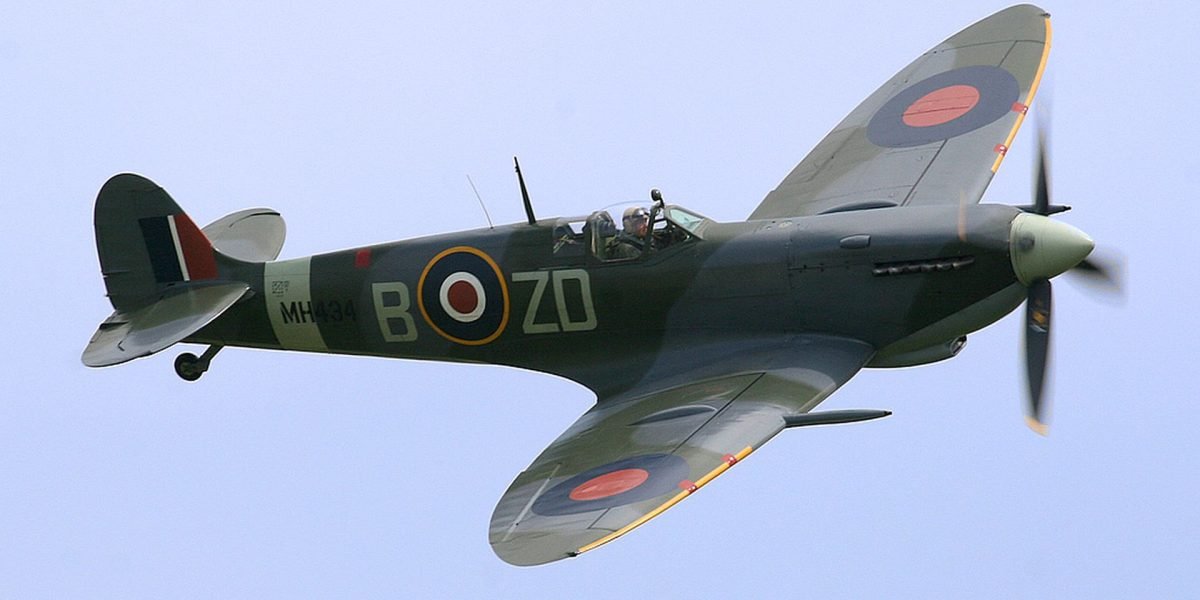 forma-rara-de-dementa_Bryan-Fury75_wiki_cc-by-sa-30_descopera.jpg - StiriAlese