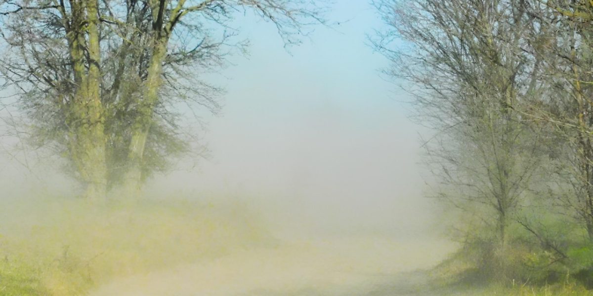 furtuna-uragan-vant-puternic-nisip-praf-ungaria2.jpg - StiriAlese