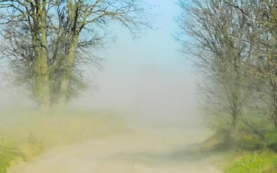 Vânturi puternice și rafale de până la 70 km/h în sud-vestul țării, munți și Moldova, până pe 10 martie Un val de instabilitate atmosferică va afecta județele din sud-vest, zona montană și Moldova până în data de 10 martie, avertizează Administrația Națională de Meteorologie (ANM)