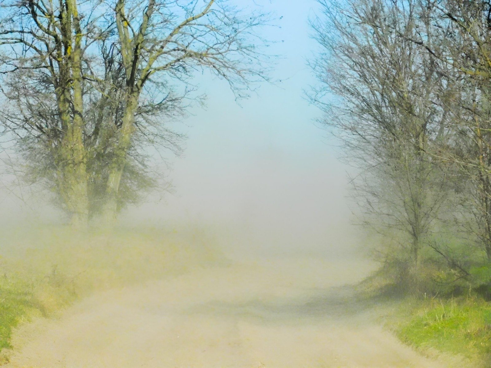 Vânturi puternice și rafale de până la 70 km/h în sud-vestul țării, munți și Moldova, până pe 10 martie Un val de instabilitate atmosferică va afecta județele din sud-vest, zona montană și Moldova până în data de 10 martie, avertizează Administrația Națională de Meteorologie (ANM)
