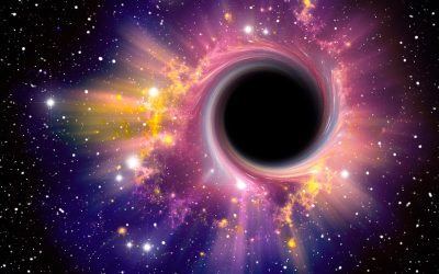 gaura-neagra.jpg - StiriAlese