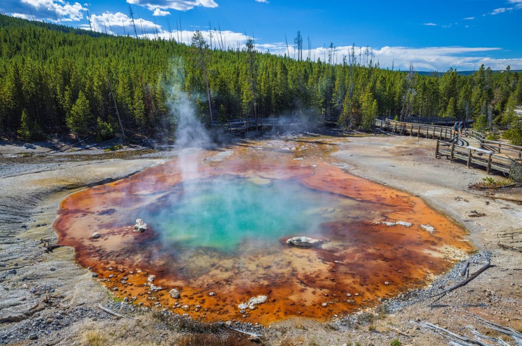 Gheizerul Echinus din Yellowstone, cel mai mare gheizer acid de pe planetă, și-a recăpătat viața după o pauză de peste cinci ani