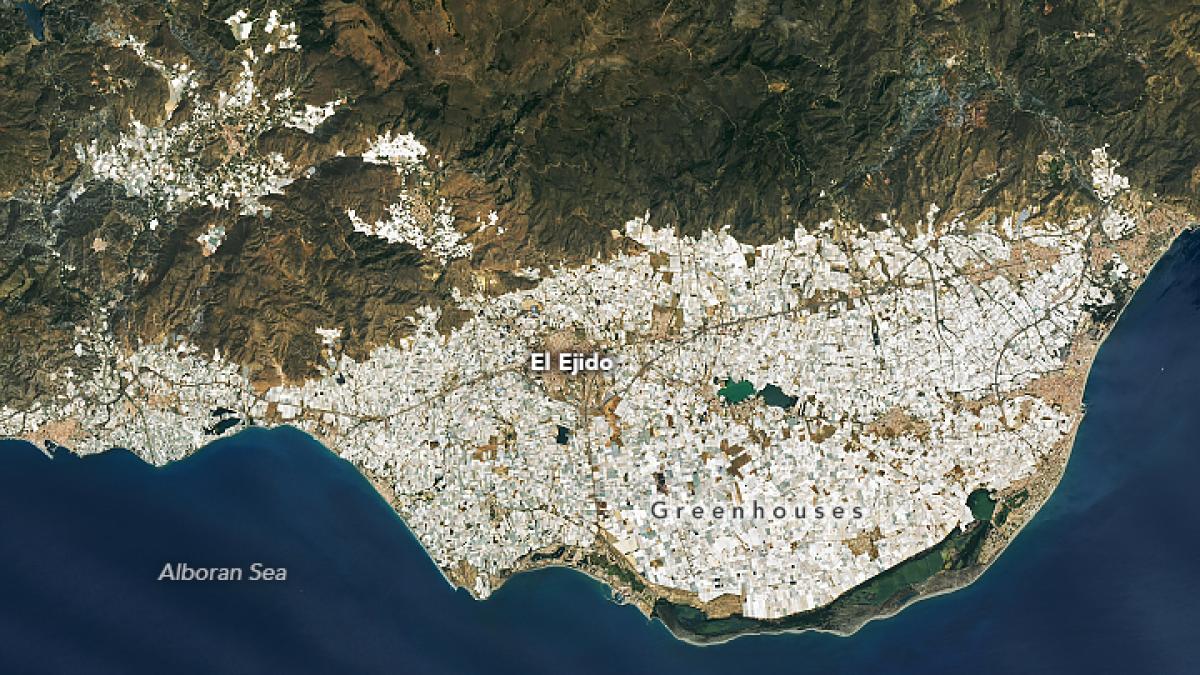 Almeria, „Marea de Plastic” a Europei: un colos economic și un exemplu de inovație agricolă Regiunea Andaluziei din sudul Spaniei găzduiește cea mai mare capitală de sere din lume, cunoscută sub numele de „Marea de Plastic”