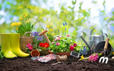 gradinarit-primavara-e1772556519837.jpg - StiriAlese