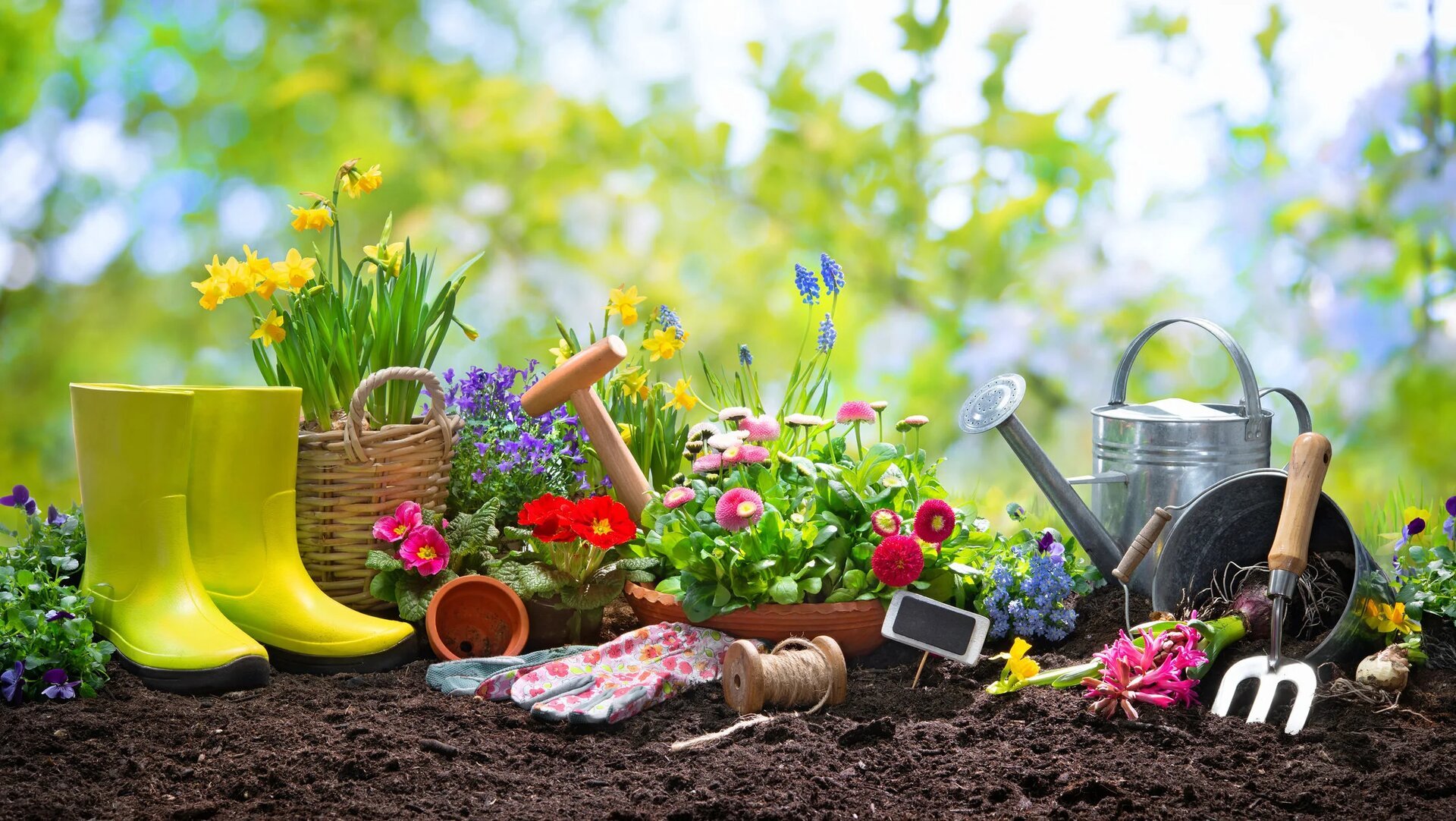 Primăvara aduce un nou început pentru grădinari, momentul ideal pentru a pregăti spațiul verde pentru o sezon de înflorire spectaculoasă