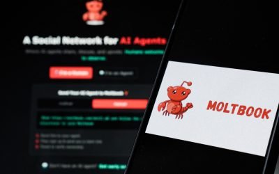 hepta_8698729-scaled.jpg - StiriAlese