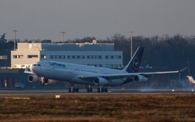 hepta_8741618-scaled.jpg - StiriAlese