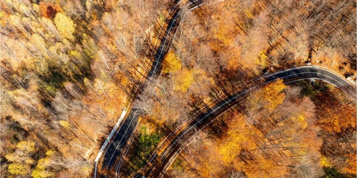 https___www.economedia.ro__wp-content_uploads_2025_11_DN2L-Soveja-–-Lepsa-4-1024x766-1.webp.webp - StiriAlese