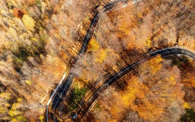 DN2L, drumul principal pentru zona montană a Vrancei, a fost modernizat