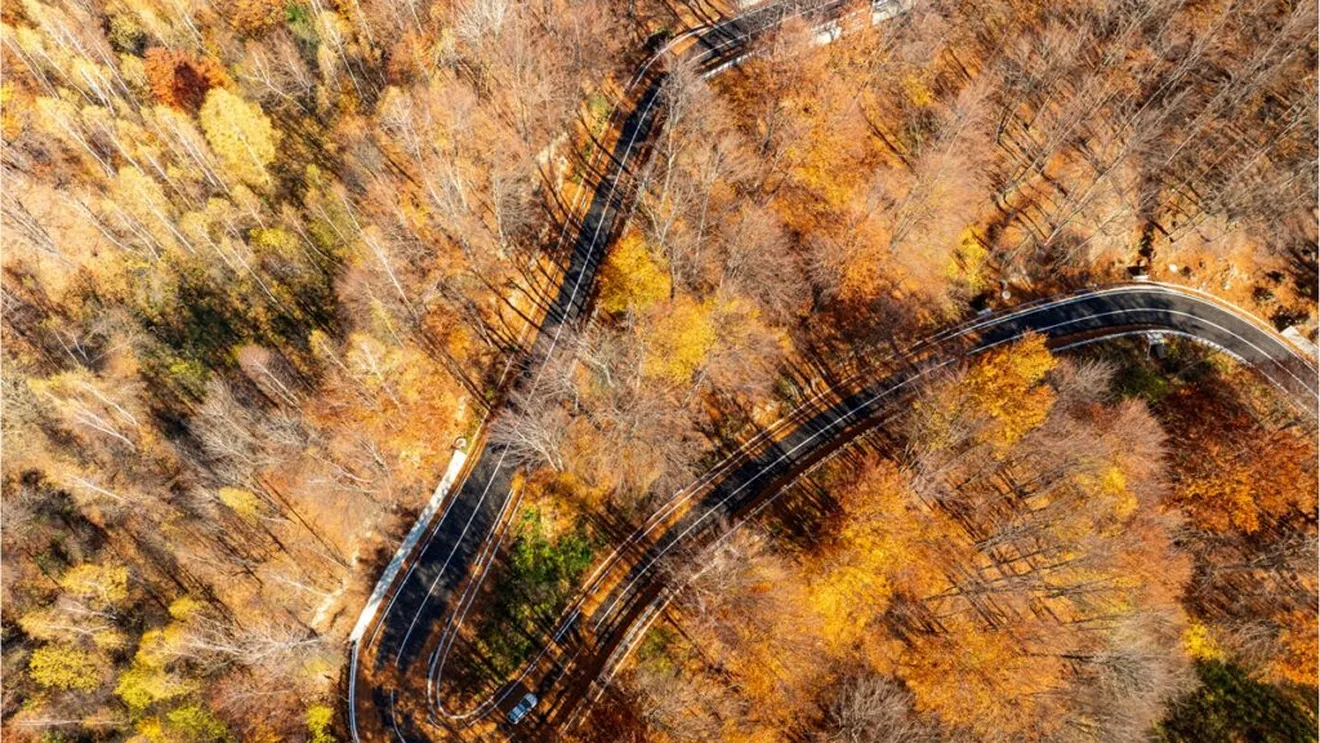 Drumul național DN2L Soveja – Lepșa, transformat complet după ani de neglijență După o lungă perioadă de degradare și ignoranță, drumul național DN2L Soveja – Lepșa a fost în cele din urmă modernizat în întregime