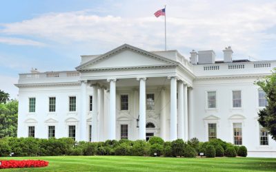 iStock-1049714130-e1561395341105.jpg - StiriAlese