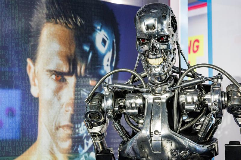 image-2023-04-1-26179745-41-terminator-1.jpg - StiriAlese