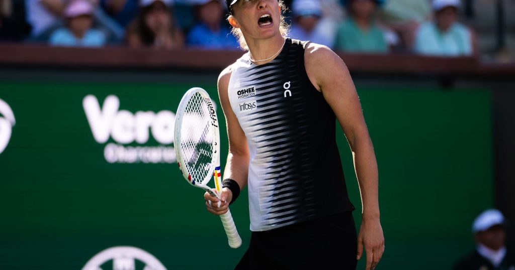 Indian Wells a fost martorul unui spectacol de excepție pe zgura californiană, în această săptămână